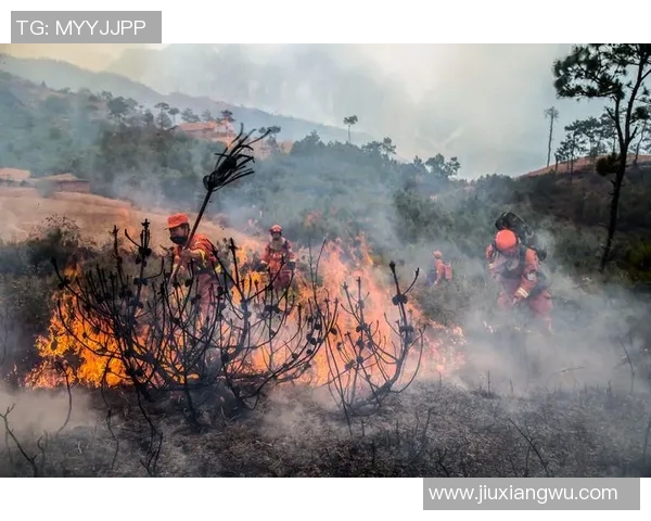 八一队与四川队激战正酣3月10日精彩赛事回顾与分析